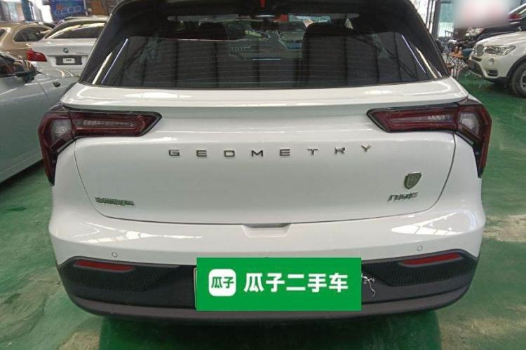 Used Geometry E Firefly 2022 401 km Linglong Tiger 4 Seats Rear