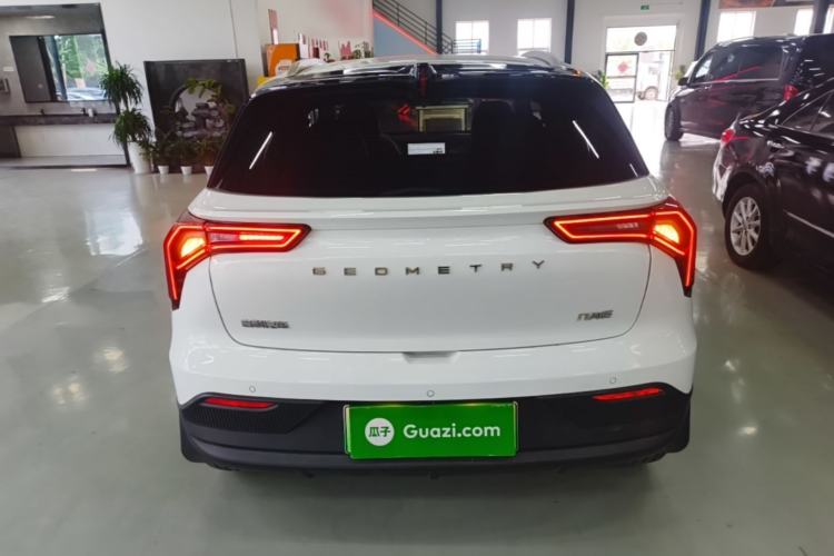 Used Geometry E Firefly 2022 401 km Linglong Tiger 4 Seats Rear