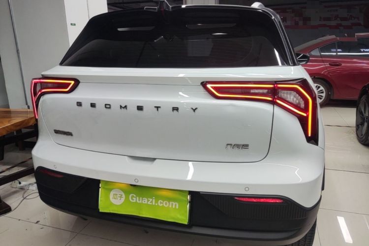 Used Geometry E Firefly 2022 401 km Linglong Tiger 4 Seats Rear