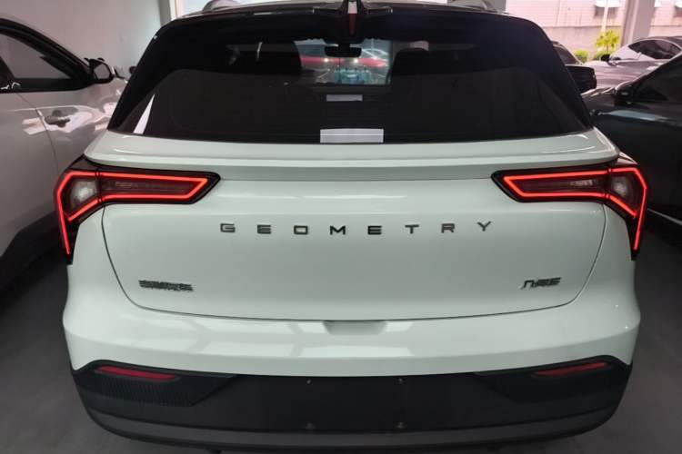 Used Geometry E Firefly 2022 320KM Cute Tiger 4-Seater Rear