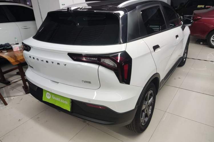 Used Geometry E Firefly 2022 401 km Linglong Tiger 4 Seats Rear Right 45 Deg