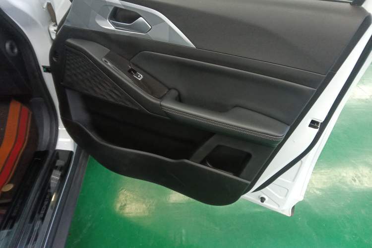 Used Geometry E Firefly 2022 401 km Linglong Tiger 4 Seats Right Front Door Interior