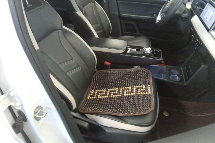 Used Geometry E Firefly 2022 401 km Linglong Tiger 4 Seats Right Front Seat