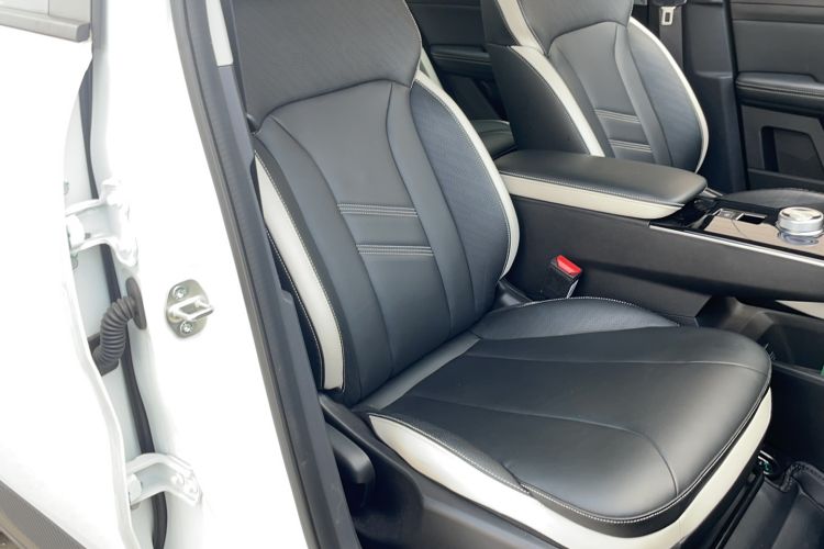 Used Geometry E Firefly 2022 401 km Linglong Tiger 4 Seats Right Front Seat