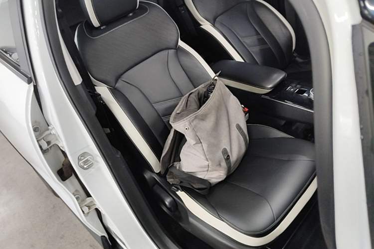 Used Geometry E Firefly 2022 401 km Linglong Tiger 4 Seats Right Front Seat
