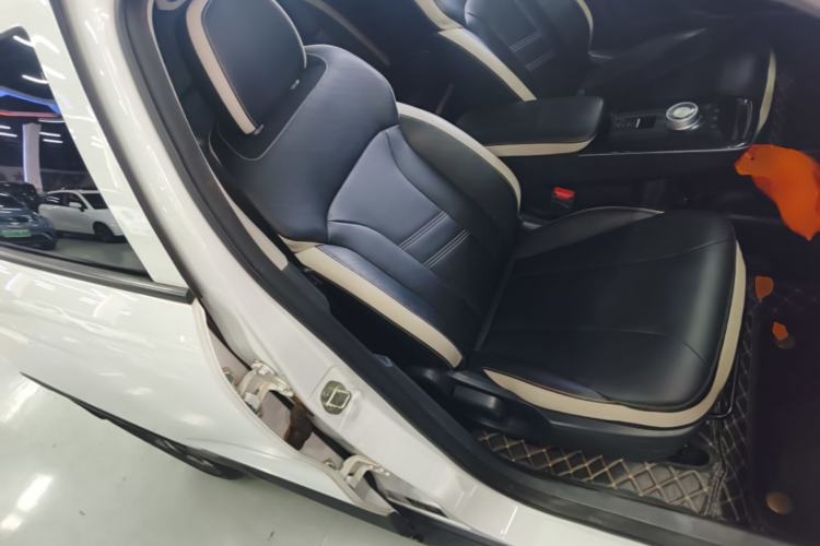 Used Geometry E Firefly 2022 401 km Linglong Tiger 4 Seats Right Front Seat