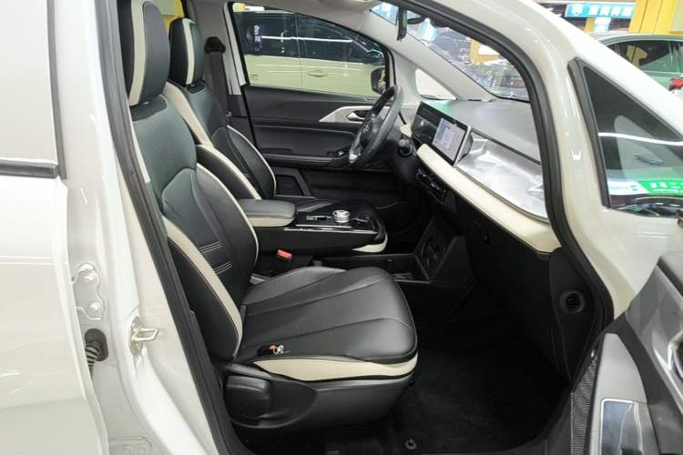 Used Geometry E Firefly 2022 401 km Linglong Tiger 4 Seats Right Front Seat