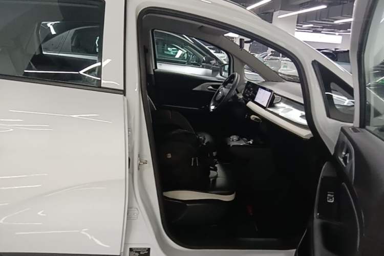 Used Geometry E Firefly 2022 320KM Cute Tiger 4-Seater Right Front Seat