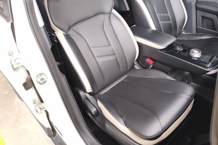 Used Geometry E Firefly 2022 401 km Linglong Tiger 4 Seats Right Front Seat