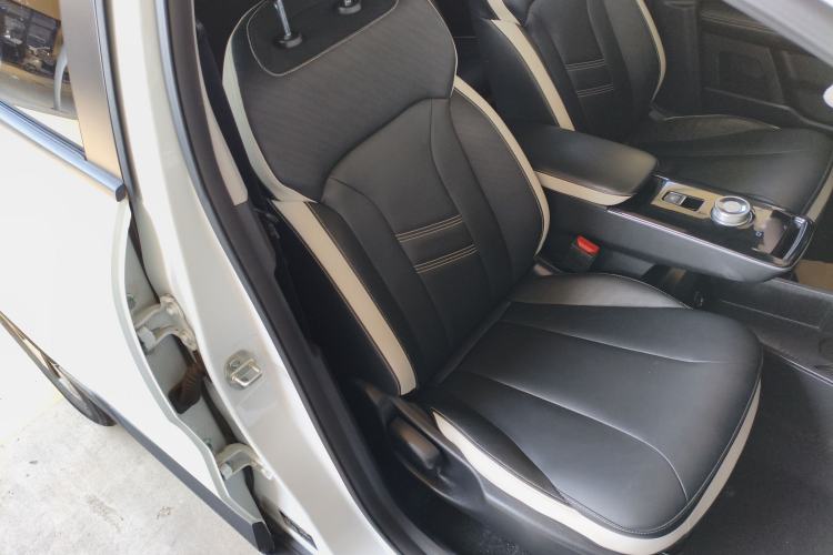 Used Geometry E Firefly 2022 401KM Lightning Tiger 4-Seater Right Front Seat