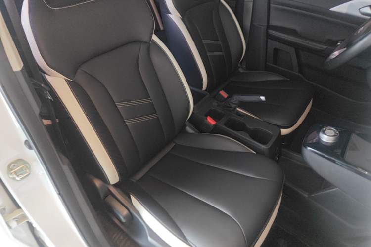 Used Geometry E Firefly 2022 320KM Cute Tiger 4-Seater Right Front Seat