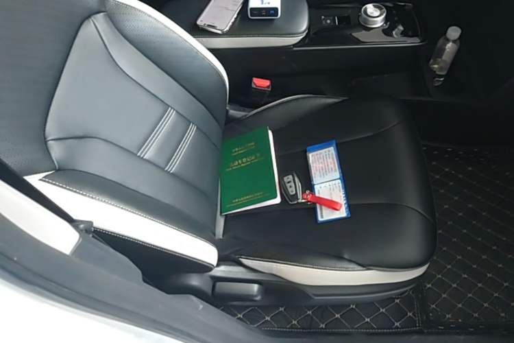 Used Geometry E Firefly 2022 401KM Lightning Tiger 4-Seater Right Front Seat