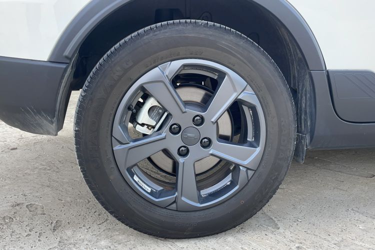 Used Geometry E Firefly 2022 401 km Linglong Tiger 4 Seats Right Rear Wheel Hub