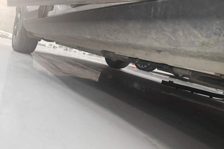Used Geometry E Firefly 2022 320KM Cute Tiger 4-Seater Right Side Sill