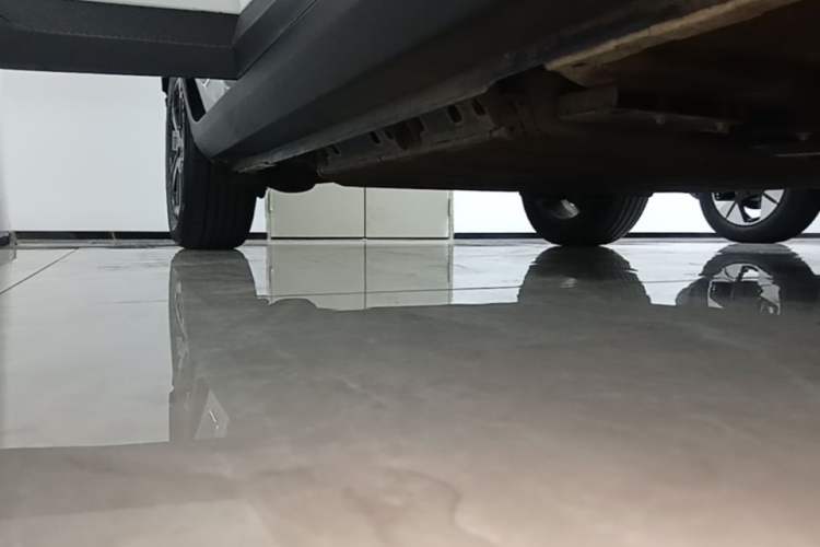 Used Geometry E Firefly 2022 320KM Cute Tiger 4-Seater Right Side Sill