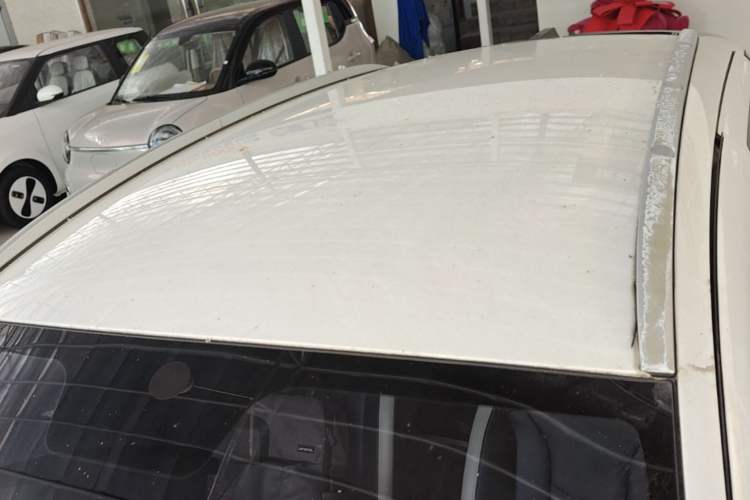 Used Geometry E Firefly 2022 320KM Cute Tiger 4-Seater Roof