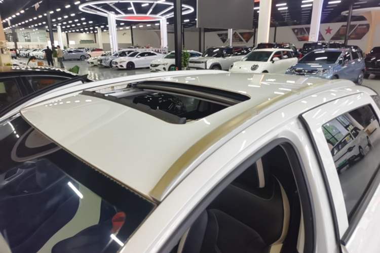 Used Geometry E Firefly 2022 401 km Linglong Tiger 4 Seats Roof