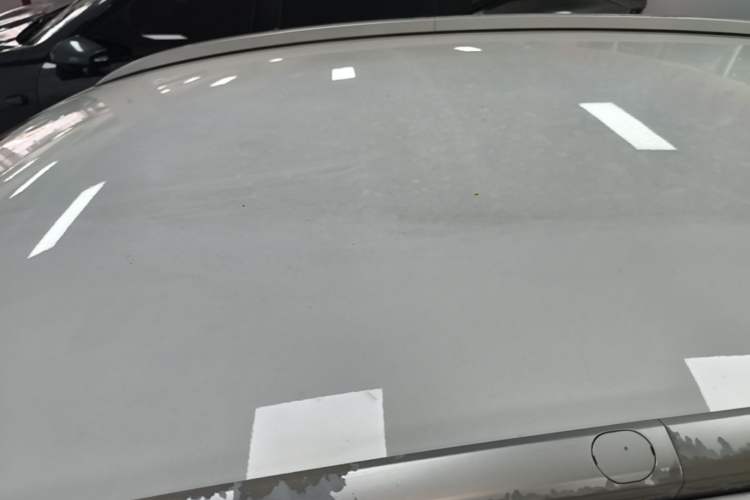 Used Geometry E Firefly 2022 320KM Cute Tiger 4-Seater Roof