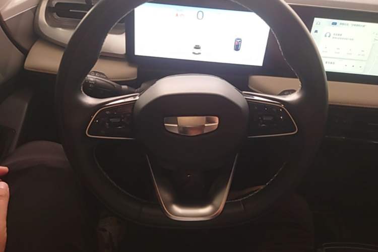 Used Geometry E Firefly 2022 401KM Lightning Tiger 4-Seater Steering Wheel