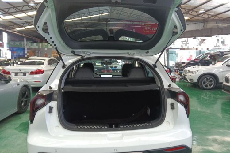 Used Geometry E Firefly 2022 401 km Linglong Tiger 4 Seats Trunk