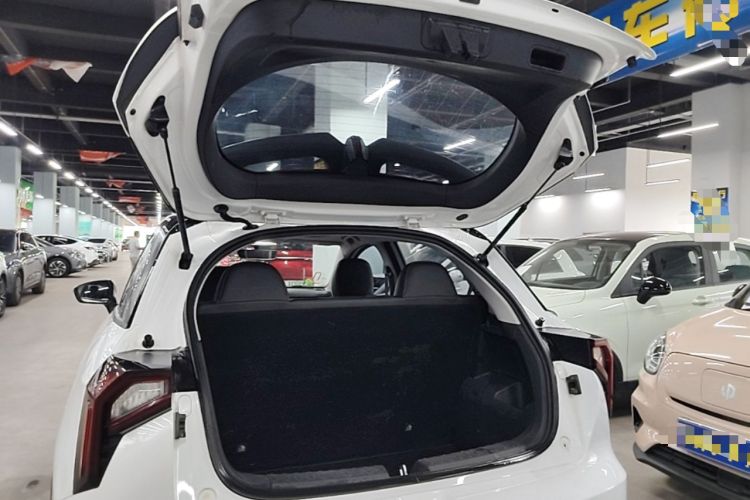 Used Geometry E Firefly 2022 401 km Linglong Tiger 4 Seats Trunk