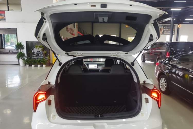 Used Geometry E Firefly 2022 401 km Linglong Tiger 4 Seats Trunk