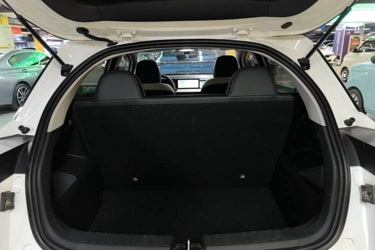 Used Geometry E Firefly 2022 401 km Linglong Tiger 4 Seats Trunk