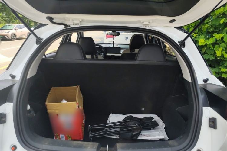 Used Geometry E Firefly 2022 401 km Linglong Tiger 4 Seats Trunk