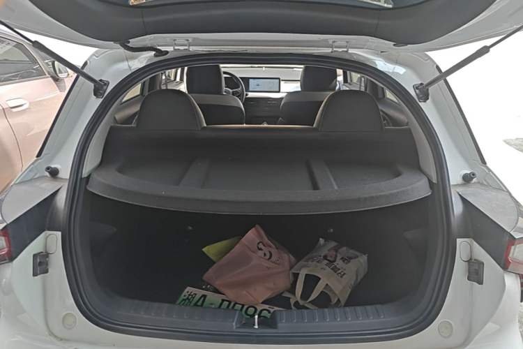 Used Geometry E Firefly 2022 401 km Linglong Tiger 4 Seats Trunk