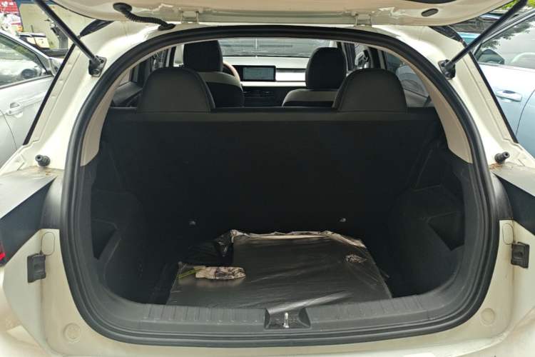 Used Geometry E Firefly 2022 401 km Linglong Tiger 4 Seats Trunk