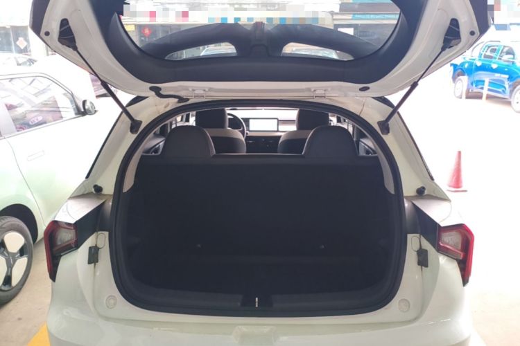 Used Geometry E Firefly 2022 401 km Linglong Tiger 4 Seats Trunk