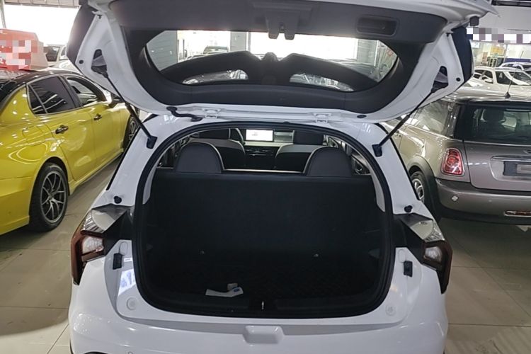 Used Geometry E Firefly 2022 401 km Linglong Tiger 4 Seats Trunk