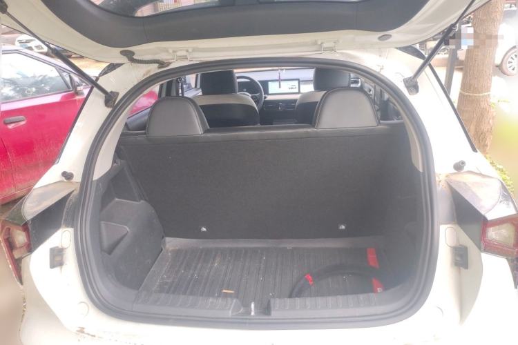 Used Geometry E Firefly 2022 401 km Linglong Tiger 4 Seats Trunk