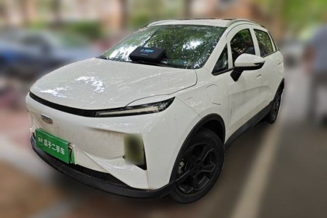 Used Geometry E Firefly 2022 320KM Cute Tiger 4-Seater