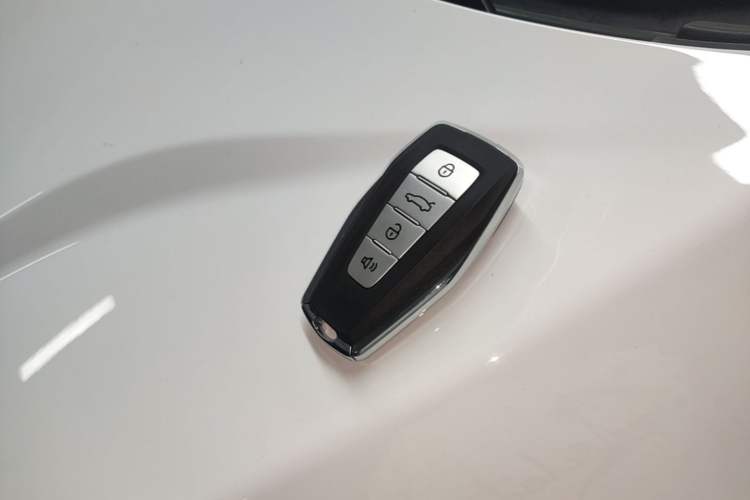 Used Geometry E Firefly 2022 401 km Linglong Tiger 4 Seats Vehicle Key