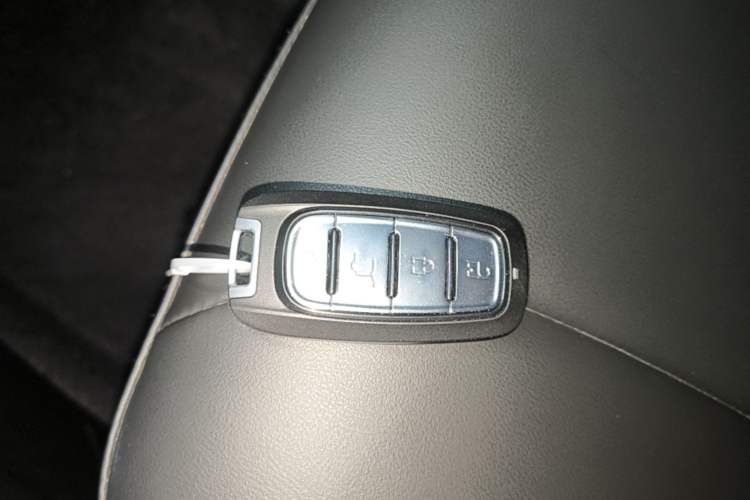 Used Geometry E Firefly 2022 401 km Linglong Tiger 4 Seats Vehicle Key