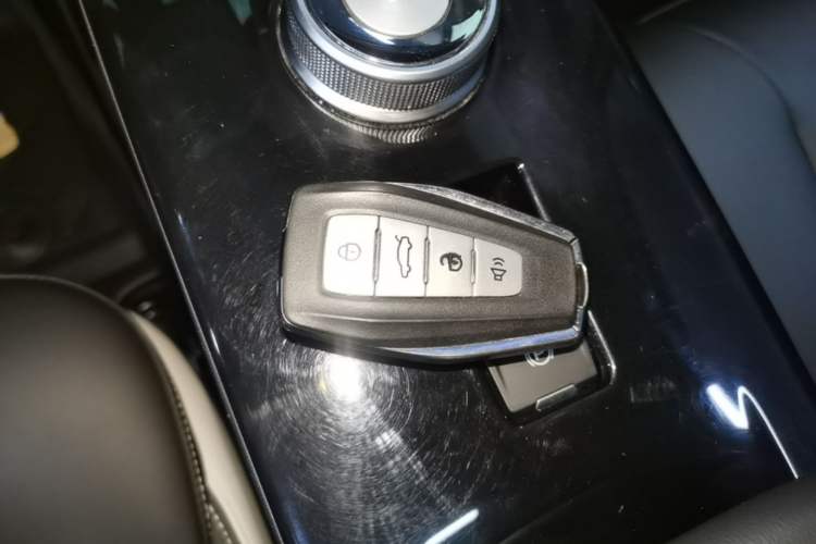 Used Geometry E Firefly 2022 401KM Lightning Tiger 5-Seater Vehicle Key