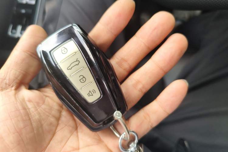 Used Geometry E Firefly 2022 401 km Linglong Tiger 4 Seats Vehicle Key