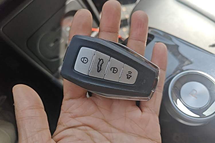 Used Geometry E Firefly 2022 401 km Linglong Tiger 4 Seats Vehicle Key