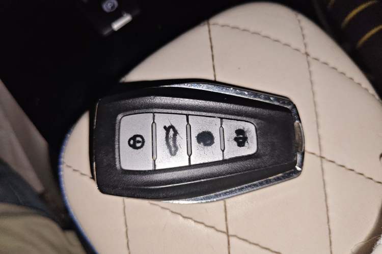 Used Geometry E Firefly 2022 401 km Linglong Tiger 4 Seats Vehicle Key