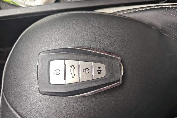 Used Geometry E Firefly 2022 401 km Linglong Tiger 4 Seats Vehicle Key