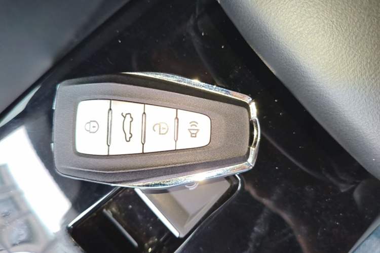 Used Geometry E Firefly 2022 401 km Linglong Tiger 4 Seats Vehicle Key