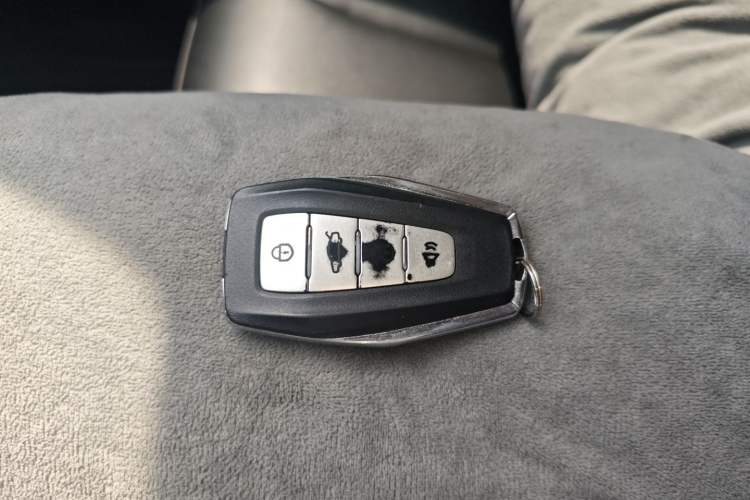 Used Geometry E Firefly 2022 401 km Linglong Tiger 4 Seats Vehicle Key