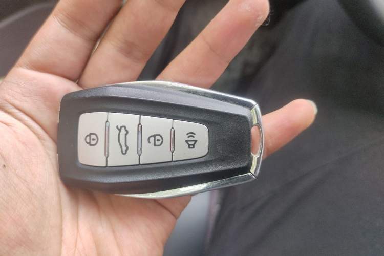 Used Geometry E Firefly 2022 401 km Linglong Tiger 4 Seats Vehicle Key