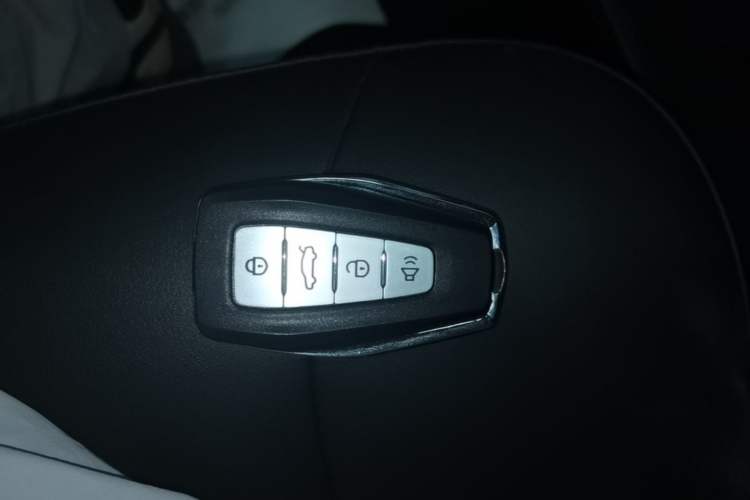 Used Geometry E Firefly 2022 401 km Linglong Tiger 4 Seats Vehicle Key