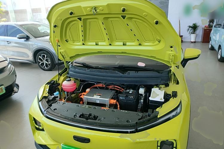 Used Geometry E Firefly 2022 401KM Lightning Tiger 4-Seater Engine Bay