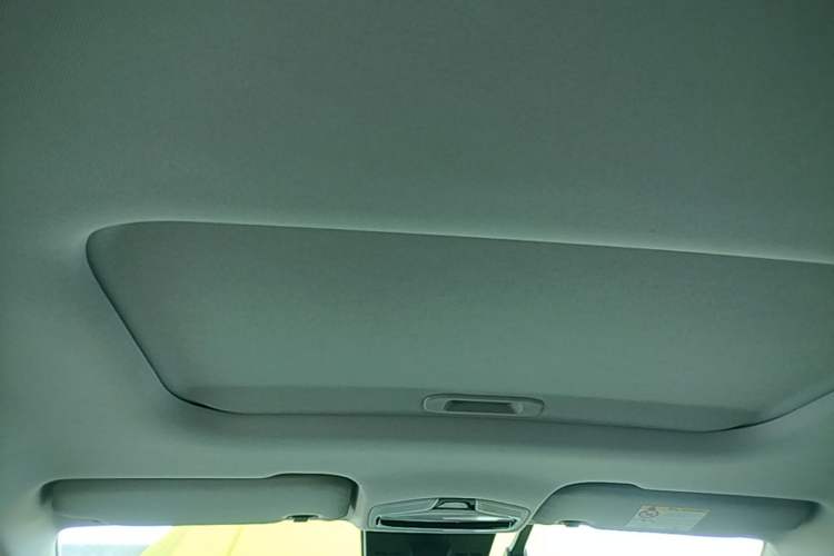 Used Geometry E Firefly 2022 401KM Lightning Tiger 4-Seater Headliner