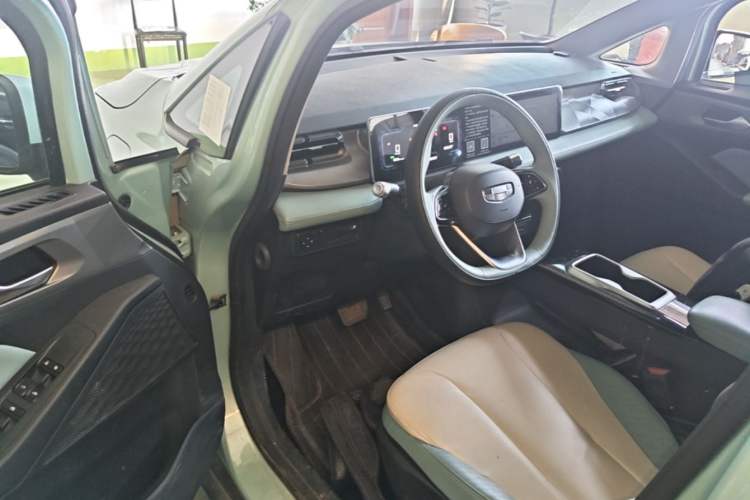 Used Geometry E Firefly 2023 401KM Linglong Tiger 5-Seater Driver Seat
