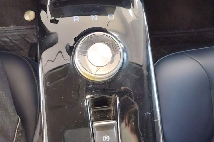 Used Geometry E Firefly 2023 401KM Linglong Tiger 5-Seater Gear Lever