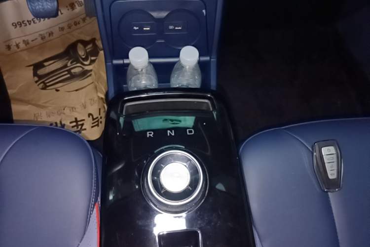 Used Geometry E Firefly 2023 401KM Linglong Tiger 5-Seater Gear Lever